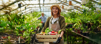 Sachkunde Pflanzenschutz